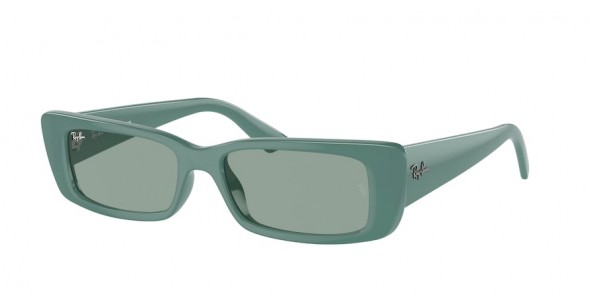 Ray-Ban Teru RB4425 676282