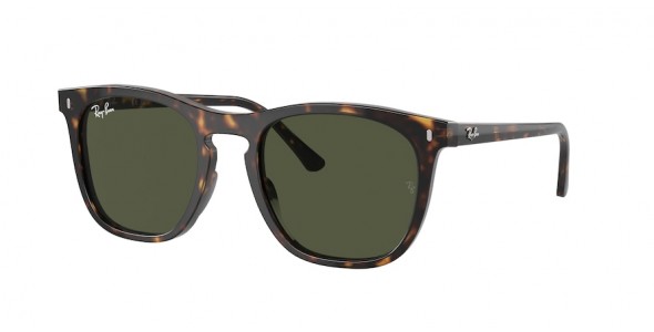 Ray-Ban RB2210 902/31