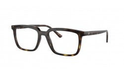 Ray-Ban Alain RX7239 2012