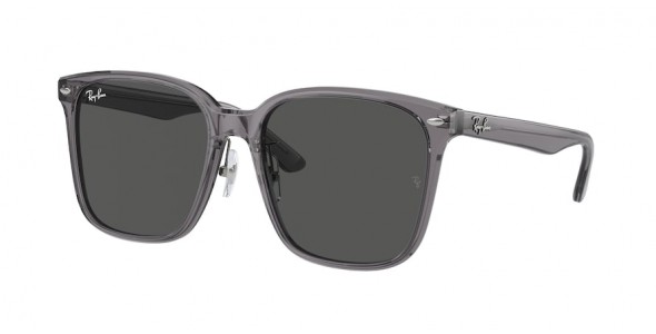 Ray-Ban RB2206D 139987