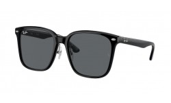 Ray-Ban RB2206D 901/87