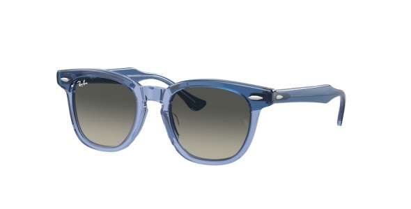 Ray-Ban RJ9098S 715911