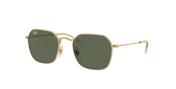 Ray-Ban RJ9594S 223/71