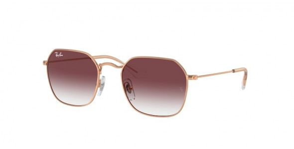 Ray-Ban RJ9594S 291/8H