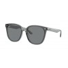 Ray-Ban RB4423D 645087