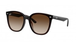 Ray-Ban RB4423D 714/13