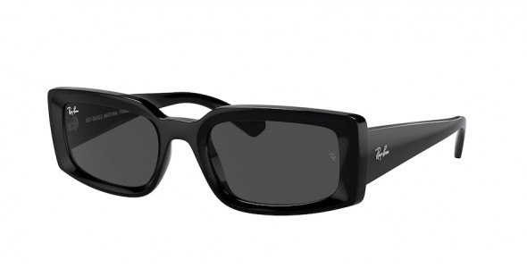 Ray-Ban Kiliane RB4395 667787