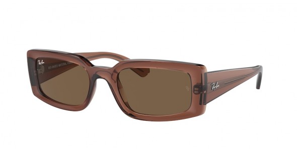 Ray-Ban Kiliane RB4395 667873