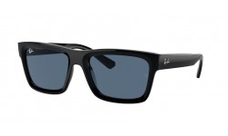 Ray-Ban Warren RB4396 667780