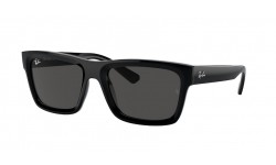 Ray-Ban Warren RB4396 667787