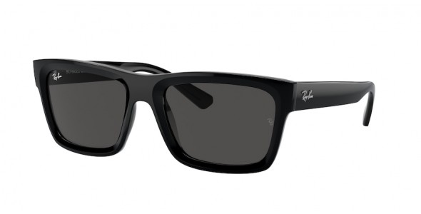 Ray-Ban Warren RB4396 667787