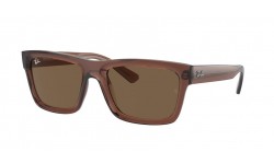 Ray-Ban Warren RB4396 667873