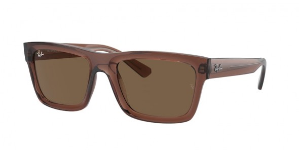 Ray-Ban Warren RB4396 667873