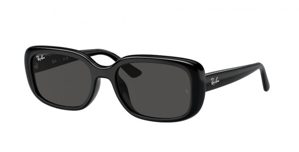 Ray-Ban RB4421D 667787