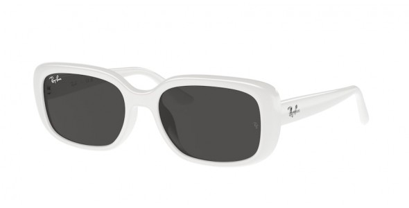 Ray-Ban RB4421D 677287