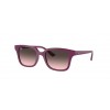 Ray-Ban RJ9071S 716246