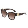 Dolce & Gabbana DG4470 502/13