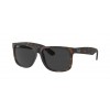 Ray-Ban Justin RB4165 865/87