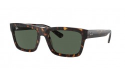 Ray-Ban Warren RB4396 135971