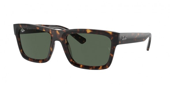 Ray-Ban Warren RB4396 135971