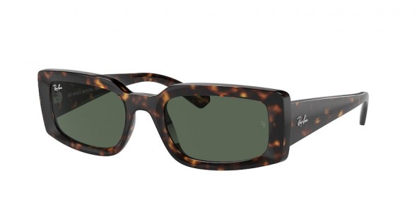 Ray-Ban Kiliane RB4395 135971