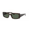 Ray-Ban Kiliane RB4395 135971