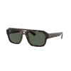 Ray-Ban Corrigan RB4397 135971