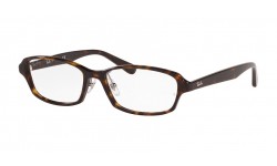 Ray-Ban RX5385D 2012