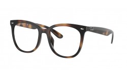 Ray-Ban RX4379VD 2012