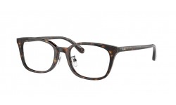 Ray-Ban RX5407D 2012