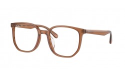 Ray-Ban RX5411D 8201