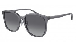 Emporio Armani EA4206D 5029T3