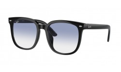 Ray-Ban RB4401D 601/19