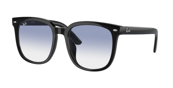 Ray-Ban RB4401D 601/19