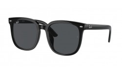 Ray-Ban RB4401D 601/87