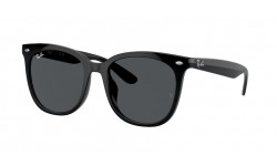 Ray-Ban RB4379D 601/87