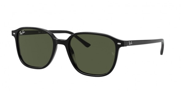 Ray-Ban Leonard RB2193 901/31