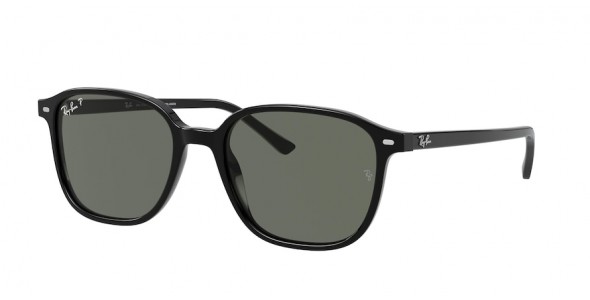 Ray-Ban Leonard RB2193 901/58