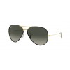 Ray-Ban Aviator Full Color 0RB3025JM 919671