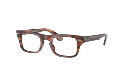 Ray-Ban Junior Burbank Jr RY9083V 3888