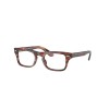 Ray-Ban Junior Burbank Jr RY9083V 3888