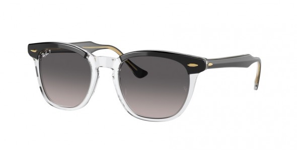 Ray-Ban Hawkeye RB2298 1294M3