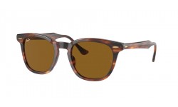 Ray-Ban Hawkeye RB2298 954/33