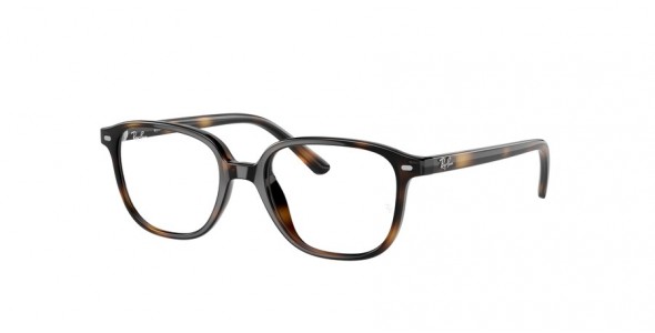 Ray-Ban Leonard Jr RY9093V 3685