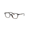 Ray-Ban Leonard Jr RY9093V 3685