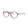 Ray-Ban Thalia RX5395 8175