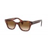 Ray-Ban RB0880S 954/51