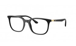 Ray-Ban RX7211 2000