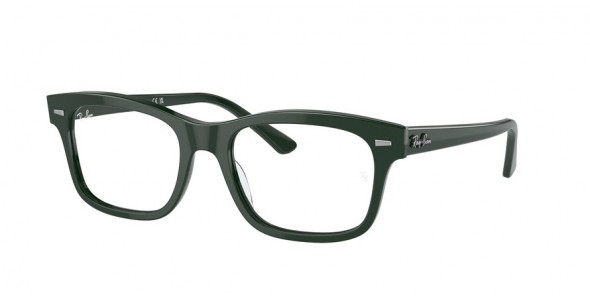 Ray-Ban Mr Burbank RX5383 8226