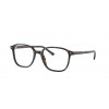 Ray-Ban Leonard RB2193 902/GH